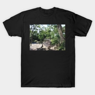 Colorized vintage photo of the Ruins of Copan T-Shirt